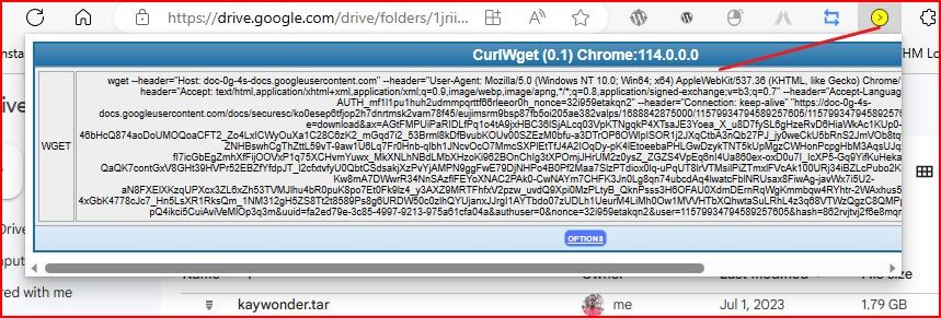 Google Drive Copy The Scripts Code from CurlWGET icon pinned in your Google Chrome web browser